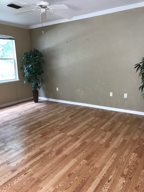 Living room area - 2505 Shadow View Cir