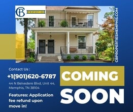 Building Photo - Belvedere 44_Razo