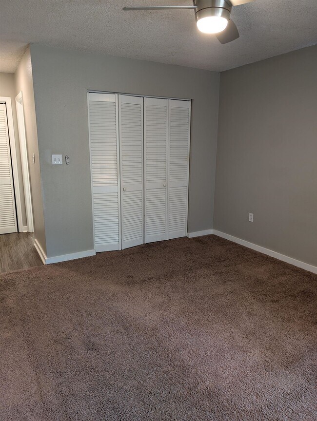 Building Photo - 447 Cactus St