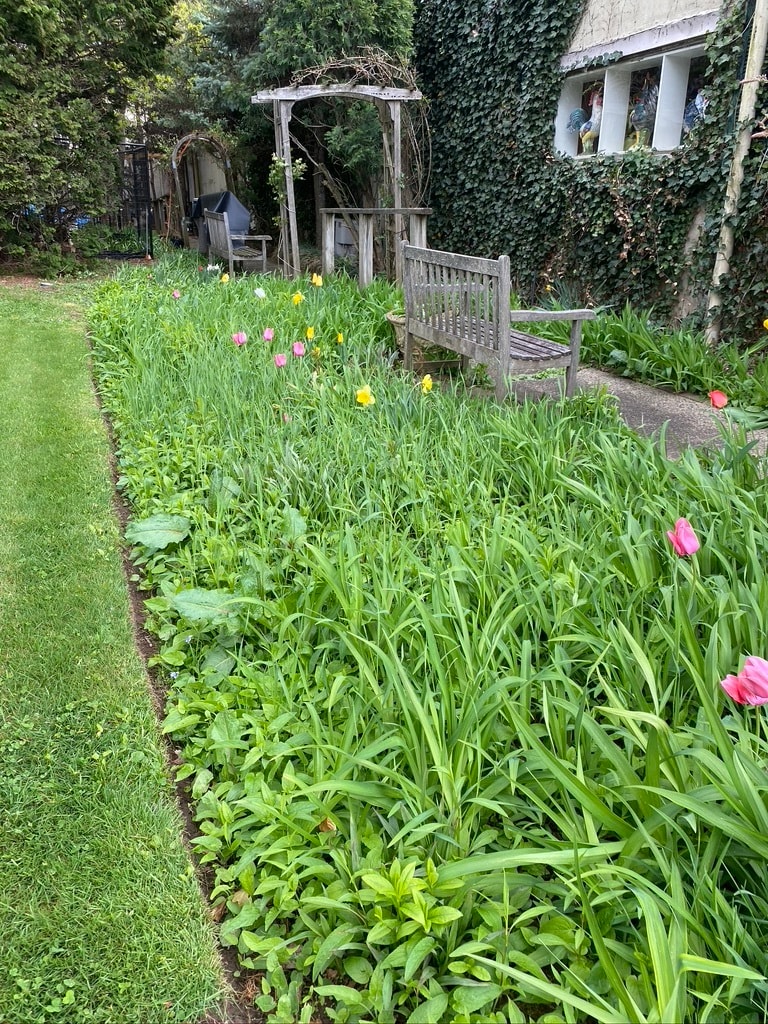 Garden - 336 Main St