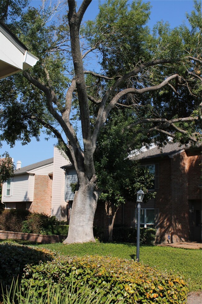 Building Photo - 5976 Woodway Place Ct