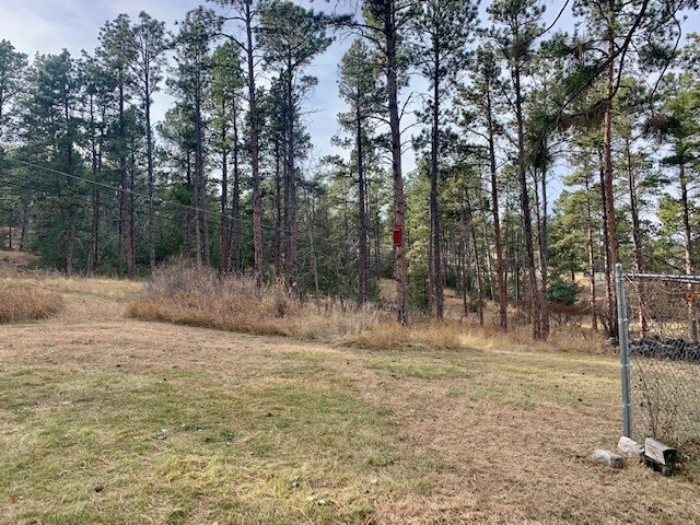 Building Photo - 213 N Berry Pine Rd