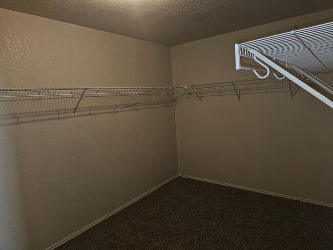 Building Photo - Huge House in a great area