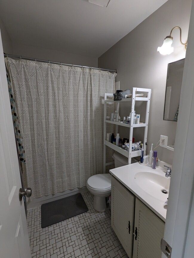 primary bathroom, attached to primary bedroom on top level - 205 Bates St NW