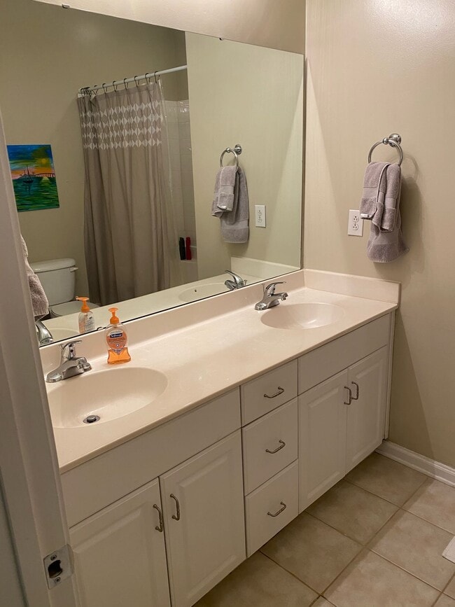 Master bath - 1043 Sycamore Green Pl