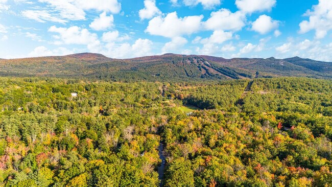 Building Photo - 291 Ash St