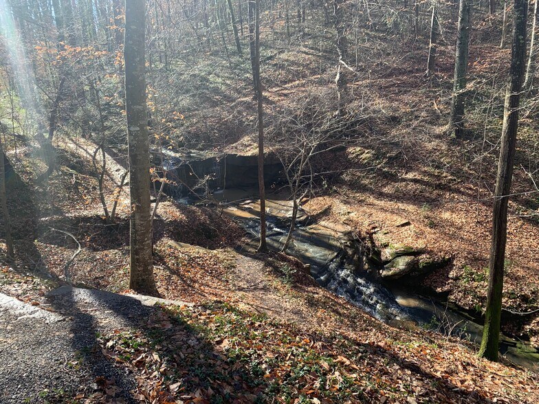 Building Photo - 217 Morehead St