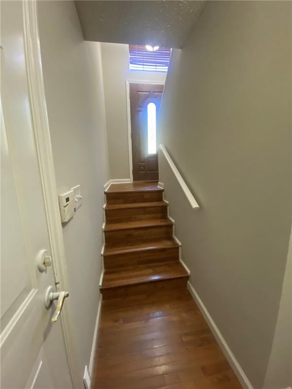 Building Photo - 3015 Cascade Manor Dr