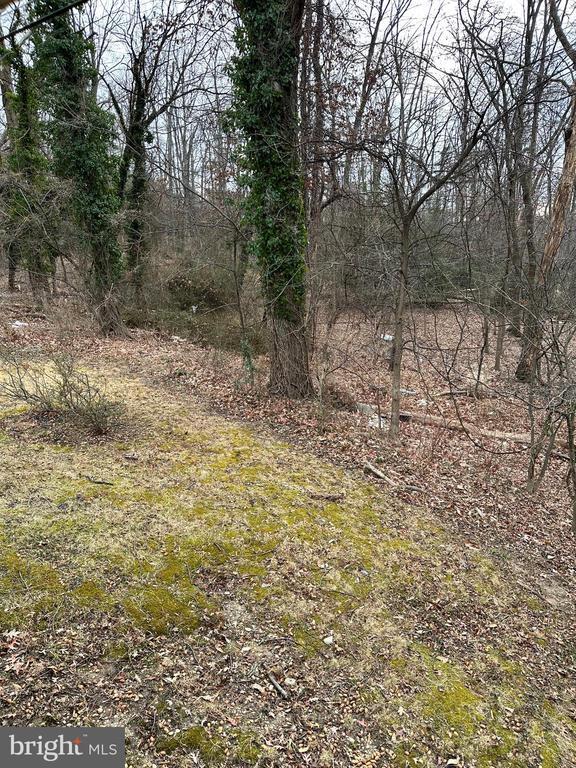 Building Photo - 10006 Green Forest Dr