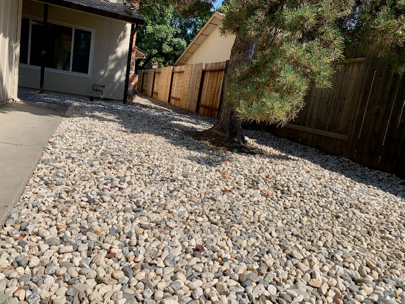 Building Photo - 3009 Lillard Dr