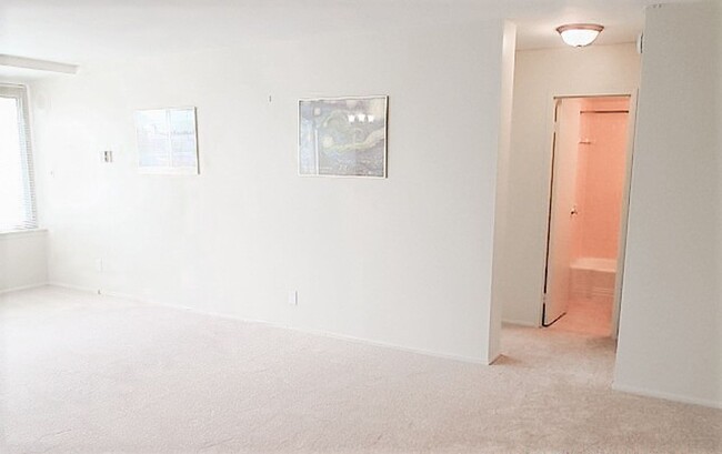 Building Photo - Large & Sun-Filled 1 Bedroom 1 Bathroom Co...