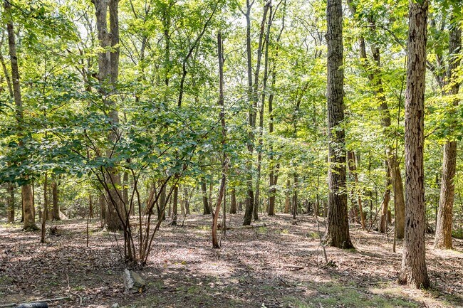 Building Photo - 3 Bedroom Home in Massanutten!!!