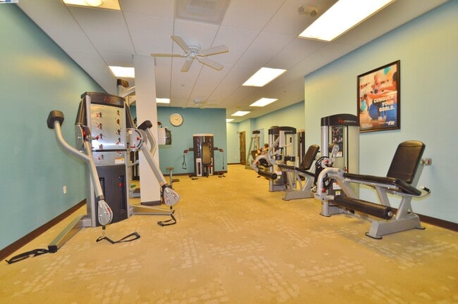 Building Photo - 535 Cambrian Way