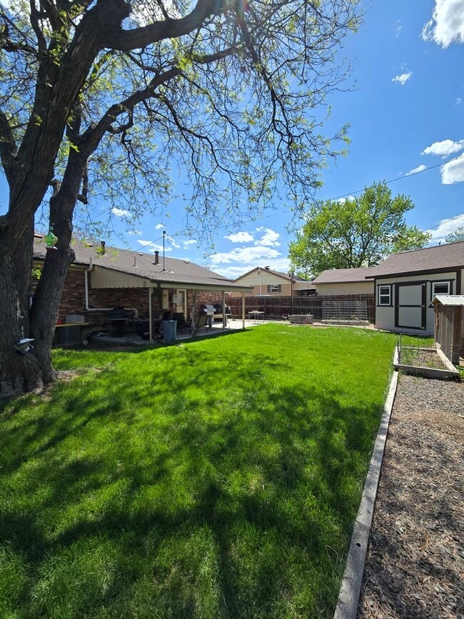 Building Photo - Ranch home in Nothglenn