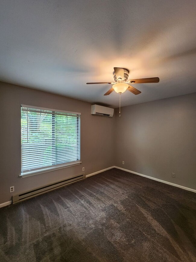 Building Photo - Black Mountain Rental!