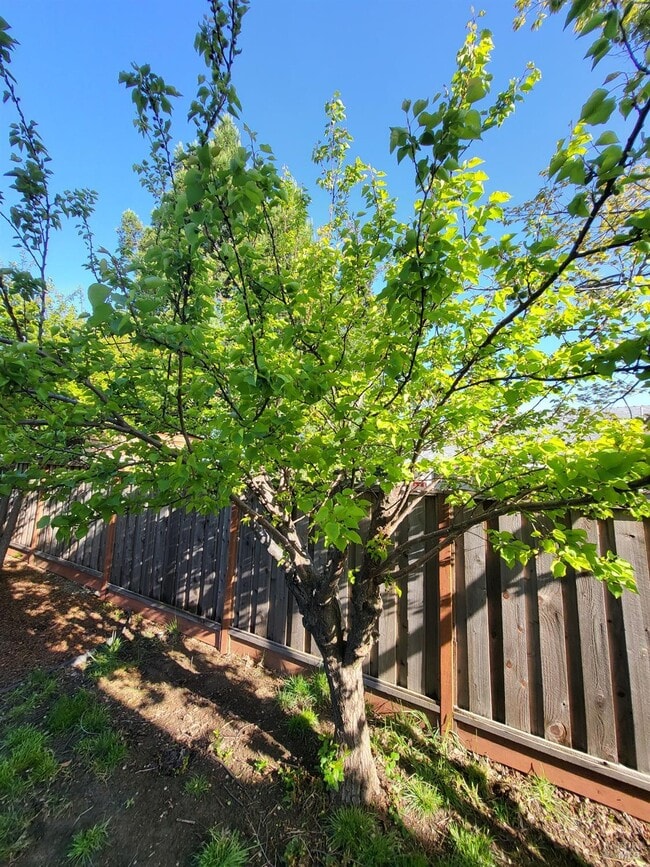 Building Photo - 496 Lupine Cir