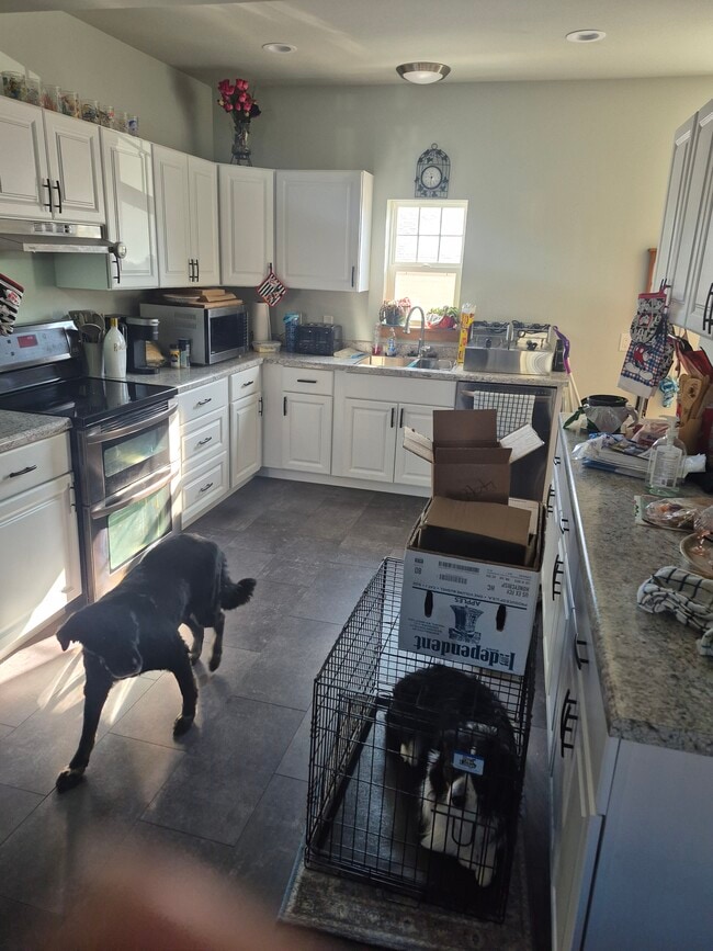 Building Photo - 353 S Ludington St