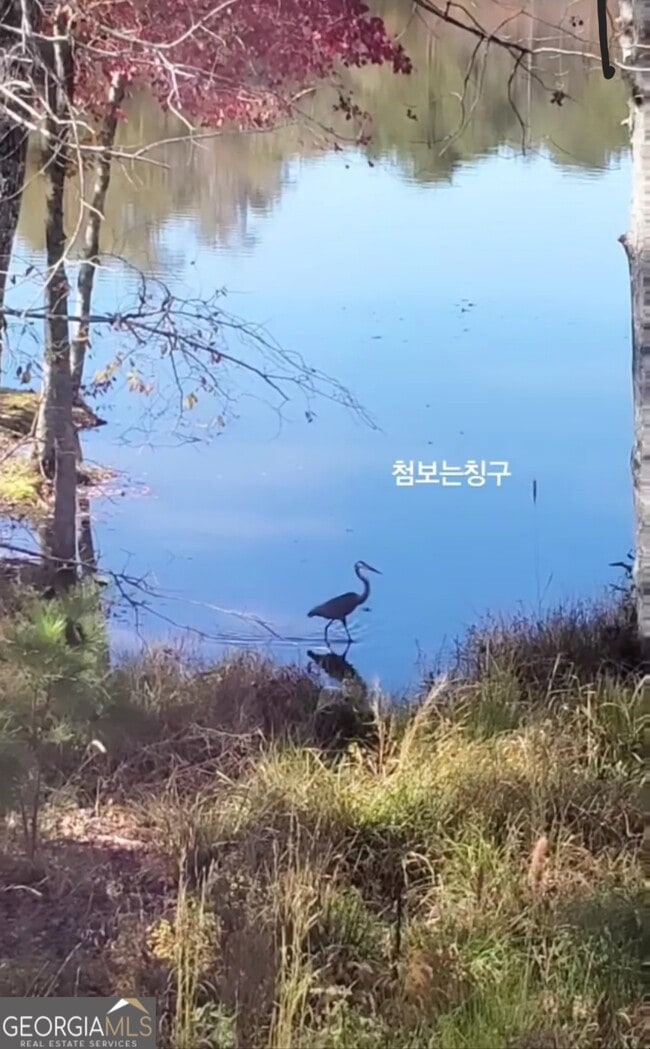 Building Photo - 405 Lakeview Way