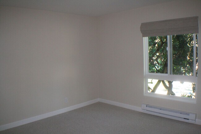 Building Photo - Stunning, large 1 bedroom at Woodlake
