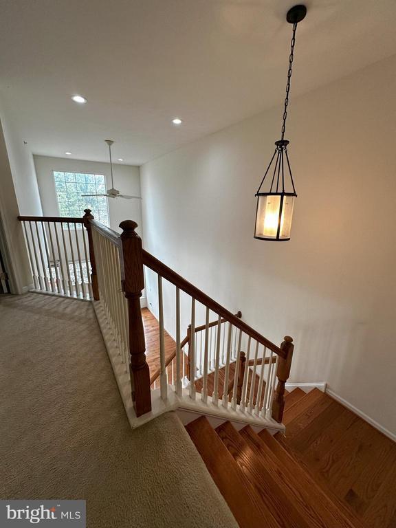 Building Photo - 147 Fringetree Dr