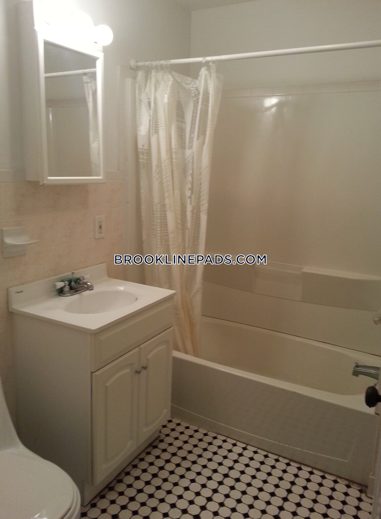 Building Photo - 62 Egmont St