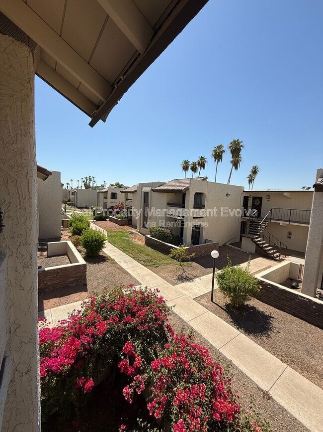Building Photo - 3825 E Camelback Rd