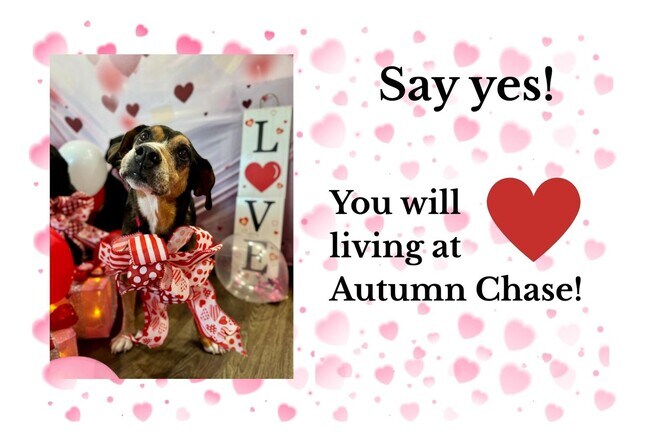 Building Photo - Waived app fees until Valentine’s Day! You+this apartment=The perfect match??