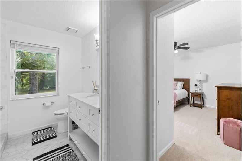 Building Photo - 2696 Appaloosa Trail