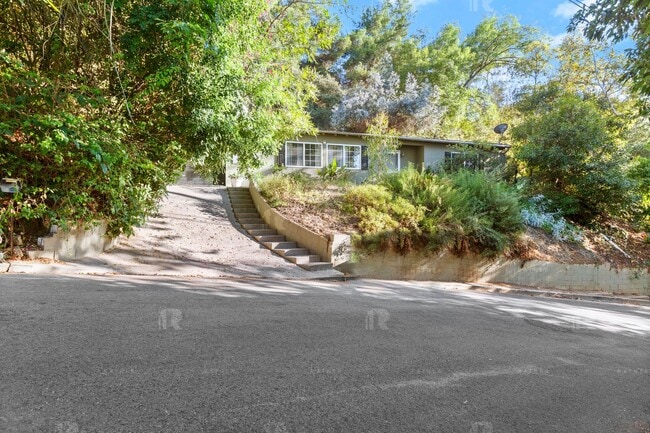 Building Photo - Newly Remodeled Huge Open Concept 4 Bed / ...