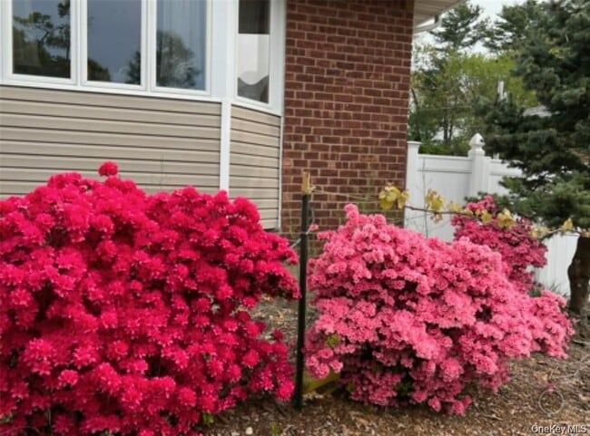 Building Photo - 35 Hicks Ave