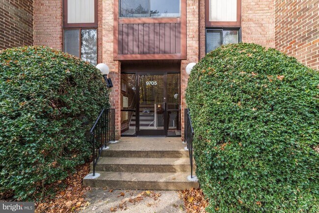 Building Photo - 9705 Kings Crown Ct