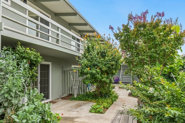 Building Photo - Catalina Apartments