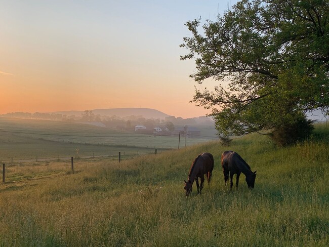 Building Photo - Country Chic in Big Valley