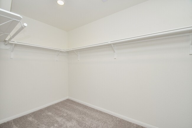 Building Photo - 8138 Leisure Pt Dr