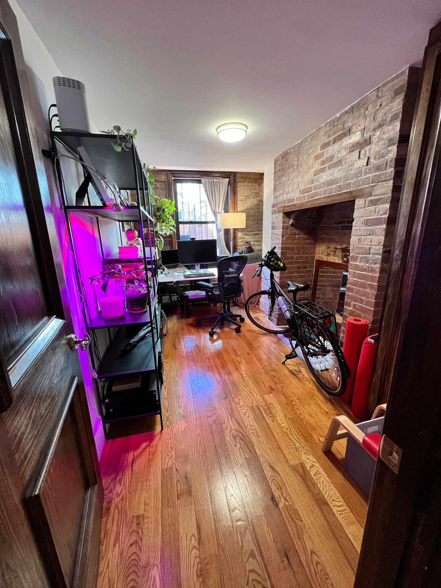 Building Photo - 238 Saint James Pl