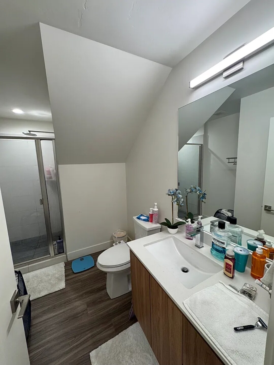Building Photo - 1553 E Talo Ct