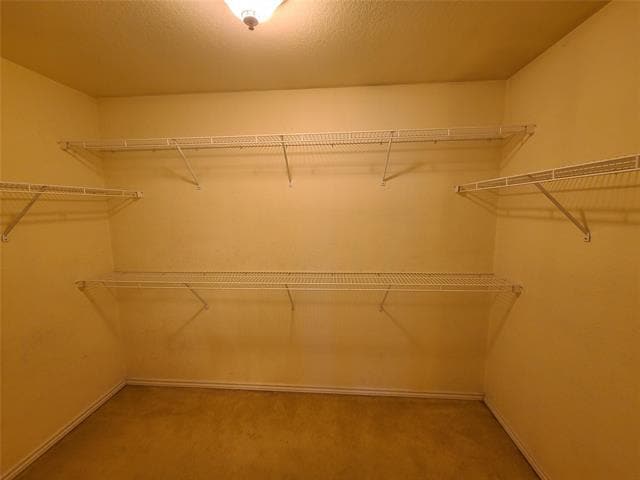 Building Photo - 2502 Cattleman Dr