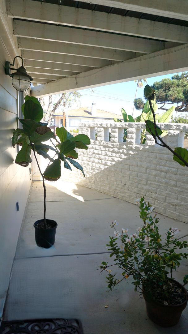 Building Photo - THE BEACH IS YOUR BACKYARD! Light & Bright...