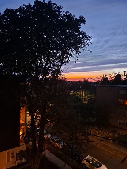 Kitchen view to north - 1631 16th Ave