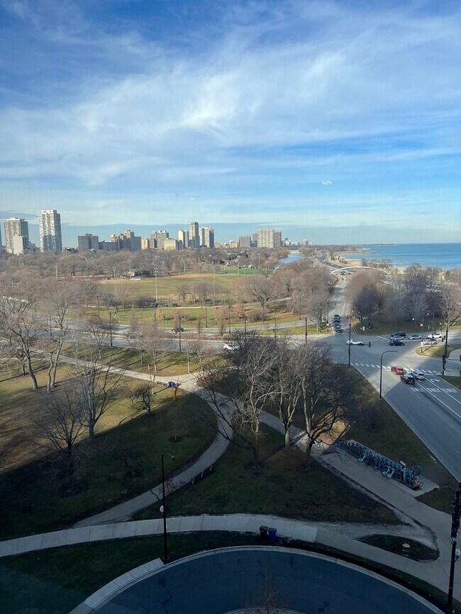 Building Photo - 1550 N Lake Shore Dr