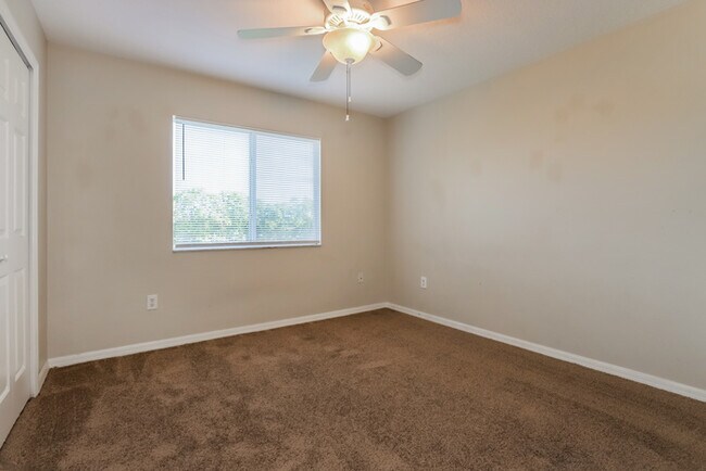 Building Photo - 4 Bedroom Tampa Home