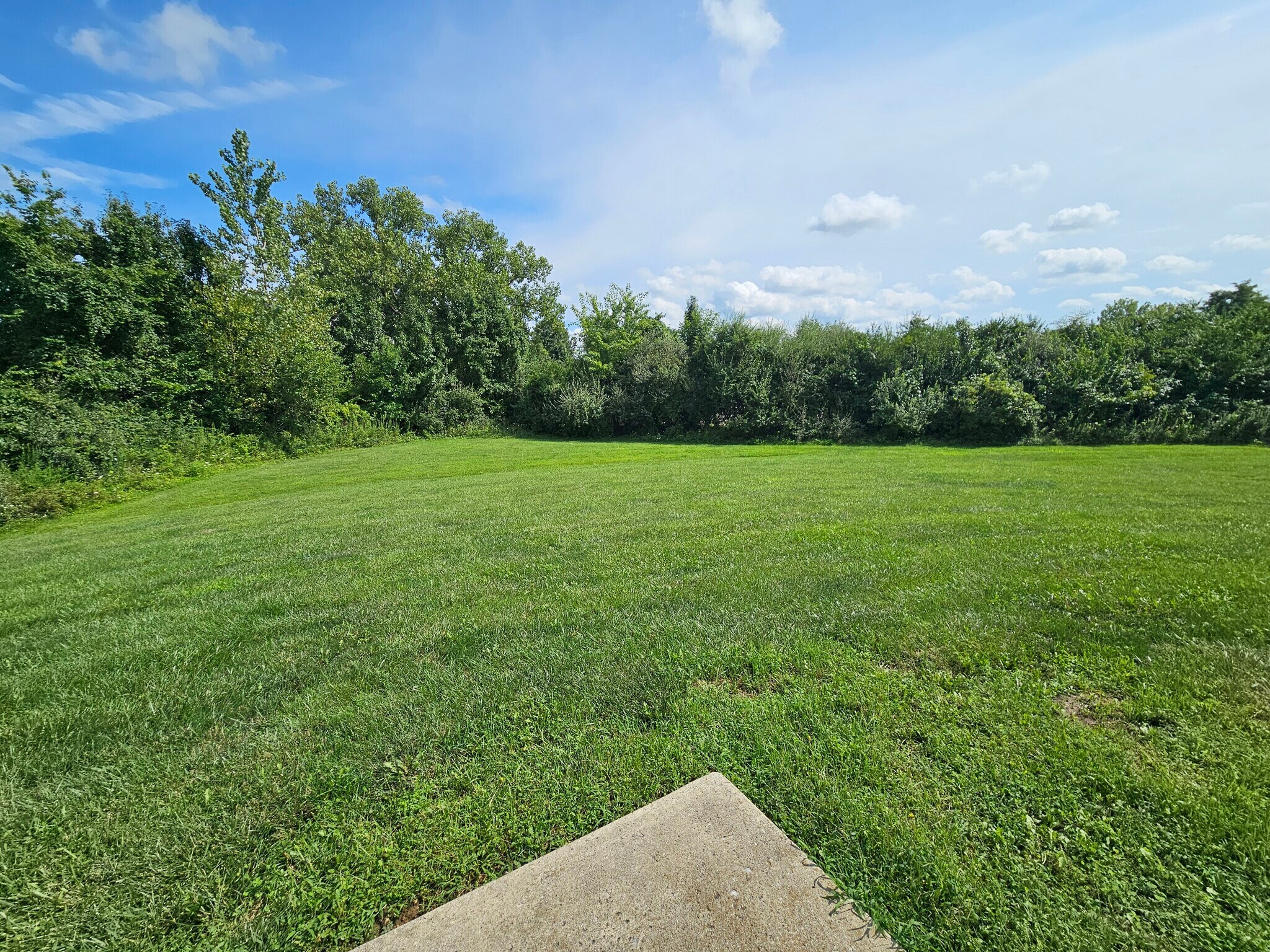 Backyard View - 138 Wagnalls Ct