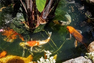 Building Photo - 195 S Parkwood Ave