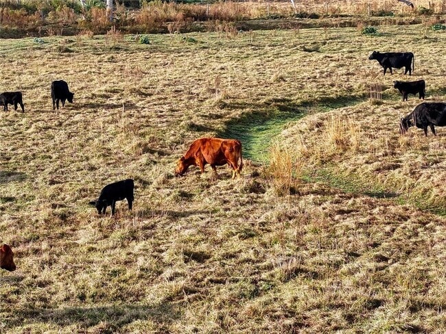 Building Photo - 8765 Daybreak St