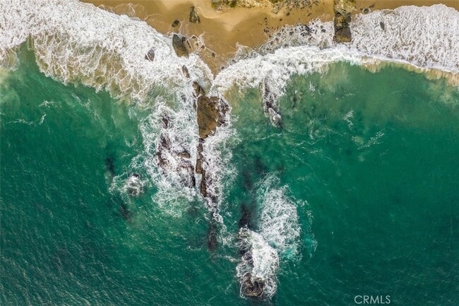 Building Photo - 237 Calliope St