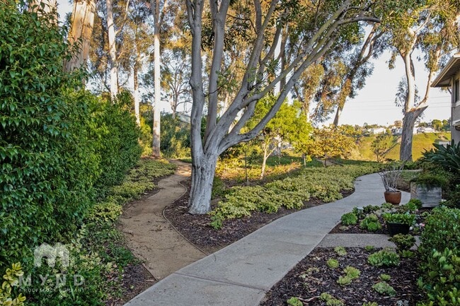 Building Photo - 7732 Camino Noguera