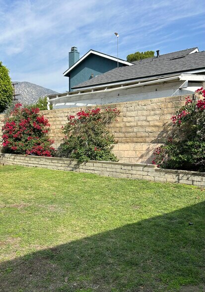 Bougainvillea! - 10760 Russett Ave