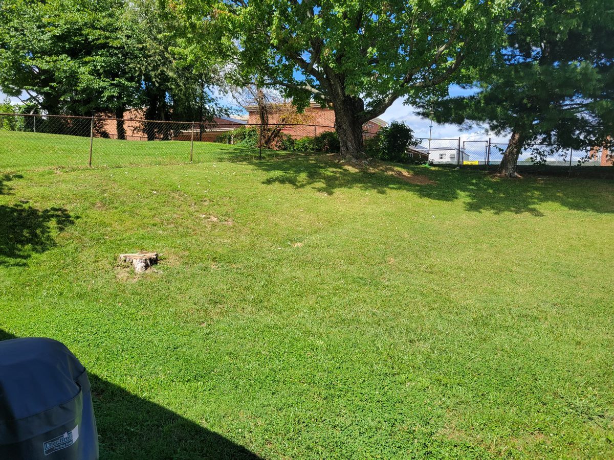 Back yard with access to SH High School - 508 Longview Dr