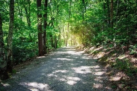 Building Photo - 157 Twilight Trail