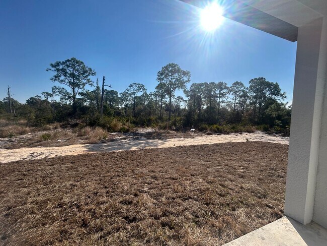 Building Photo - BRAND NEW CONSTRUCTION- 4 Bedroom 2 Bath-2 Car Garage-Serene Lake Placid Location